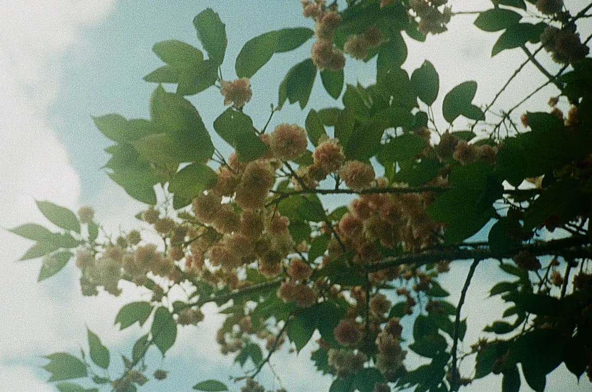 Reports Are Now Self-Serve